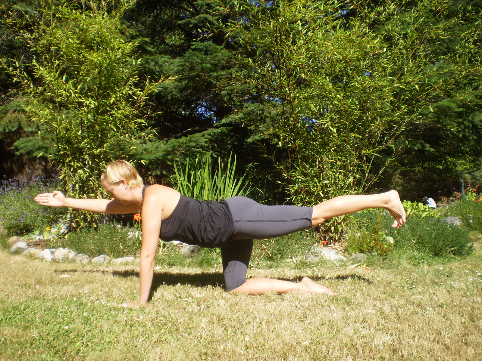 Asana of the Month: Sunbird Pose - Salt Spring Centre of Yoga