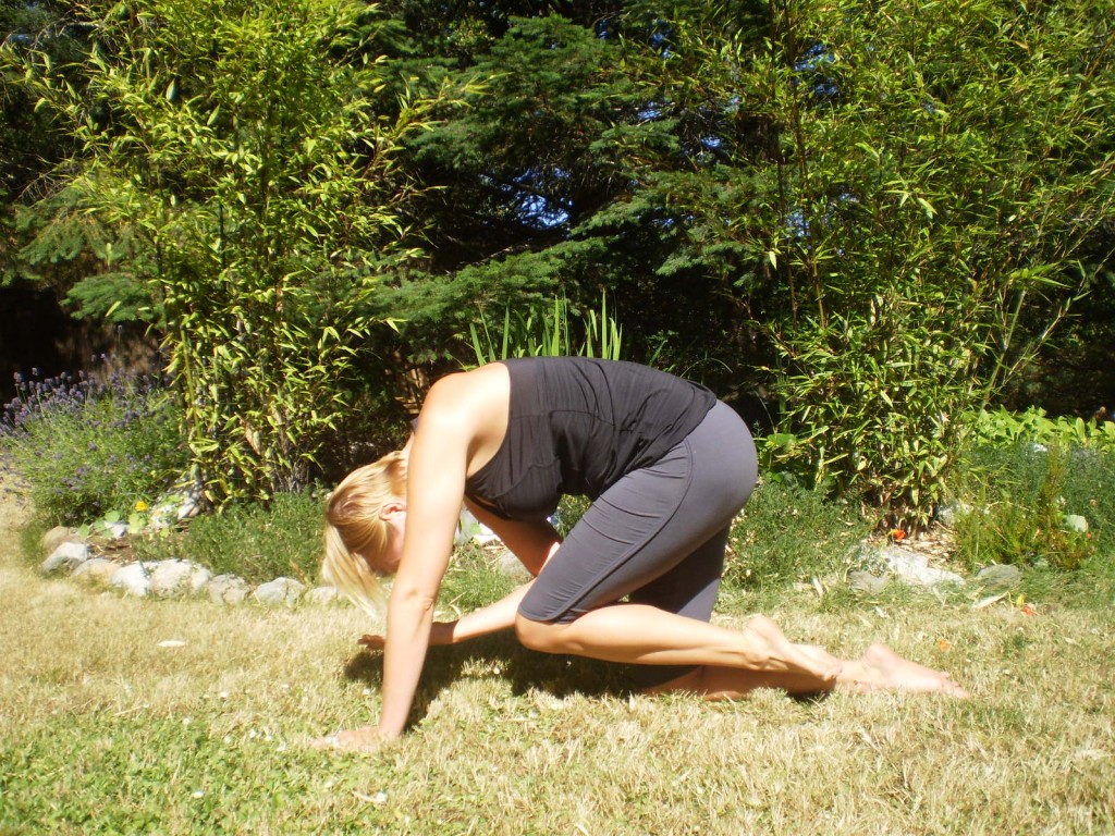 Asana of the Month: Sunbird Pose - Salt Spring Centre of Yoga