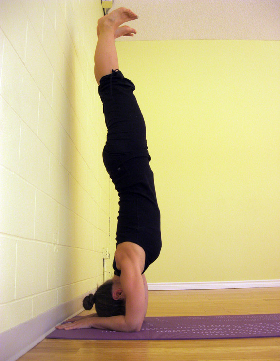 Asana of the Month : Pincha Mayurasana (Forearm Balance) - Salt