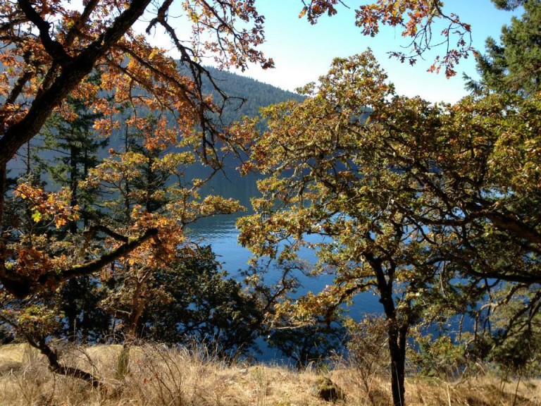 Burgoyne Bay, Salt Spring Island