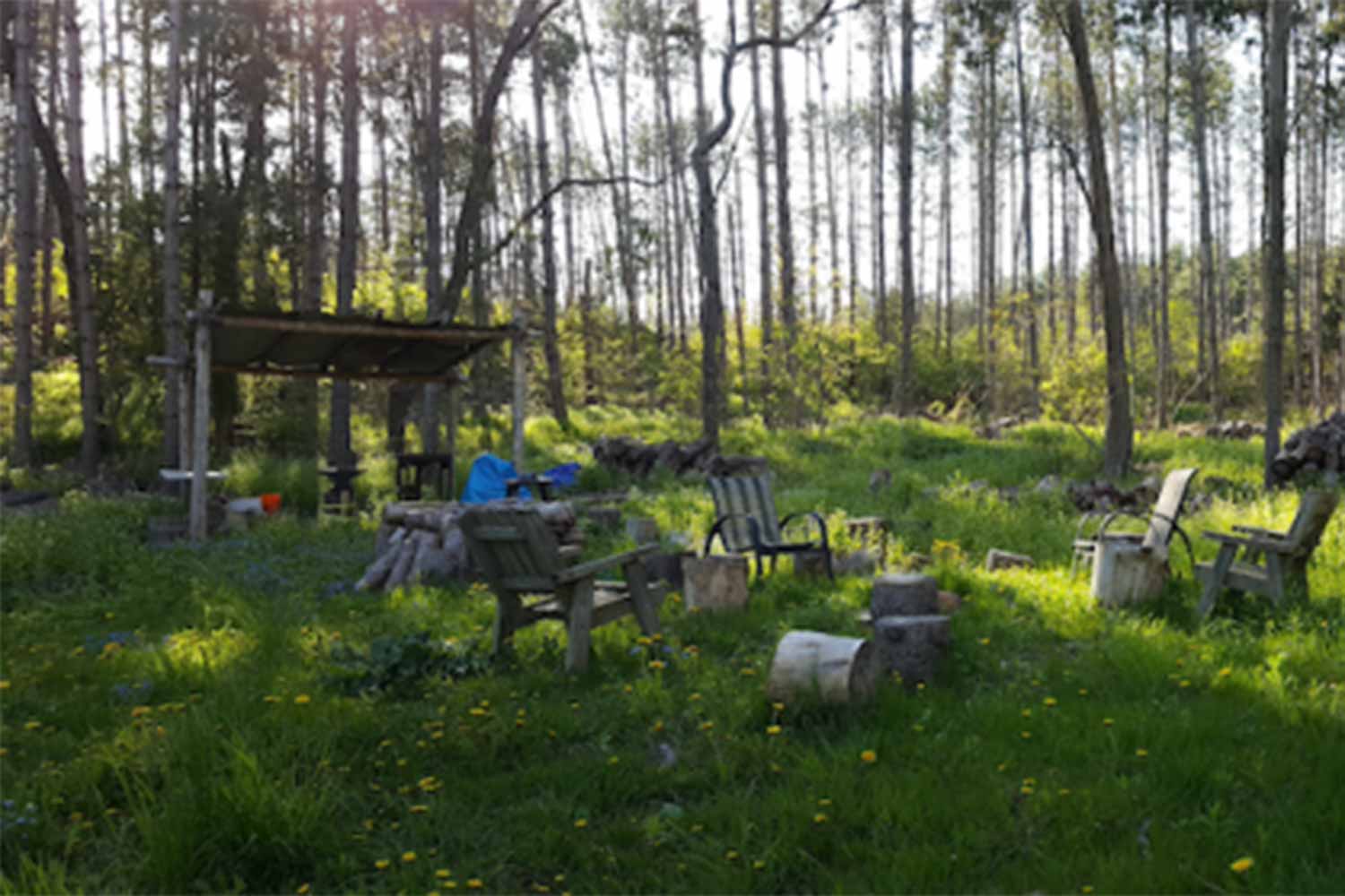 logs and chairs around a fire pit