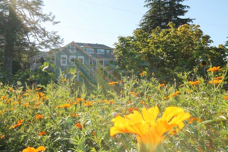 Garden at The Salt Spring Centre of Yoga