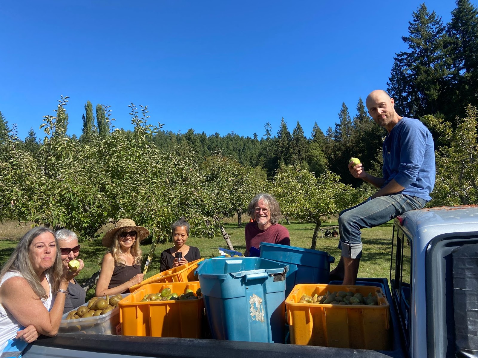 Farm volunteers