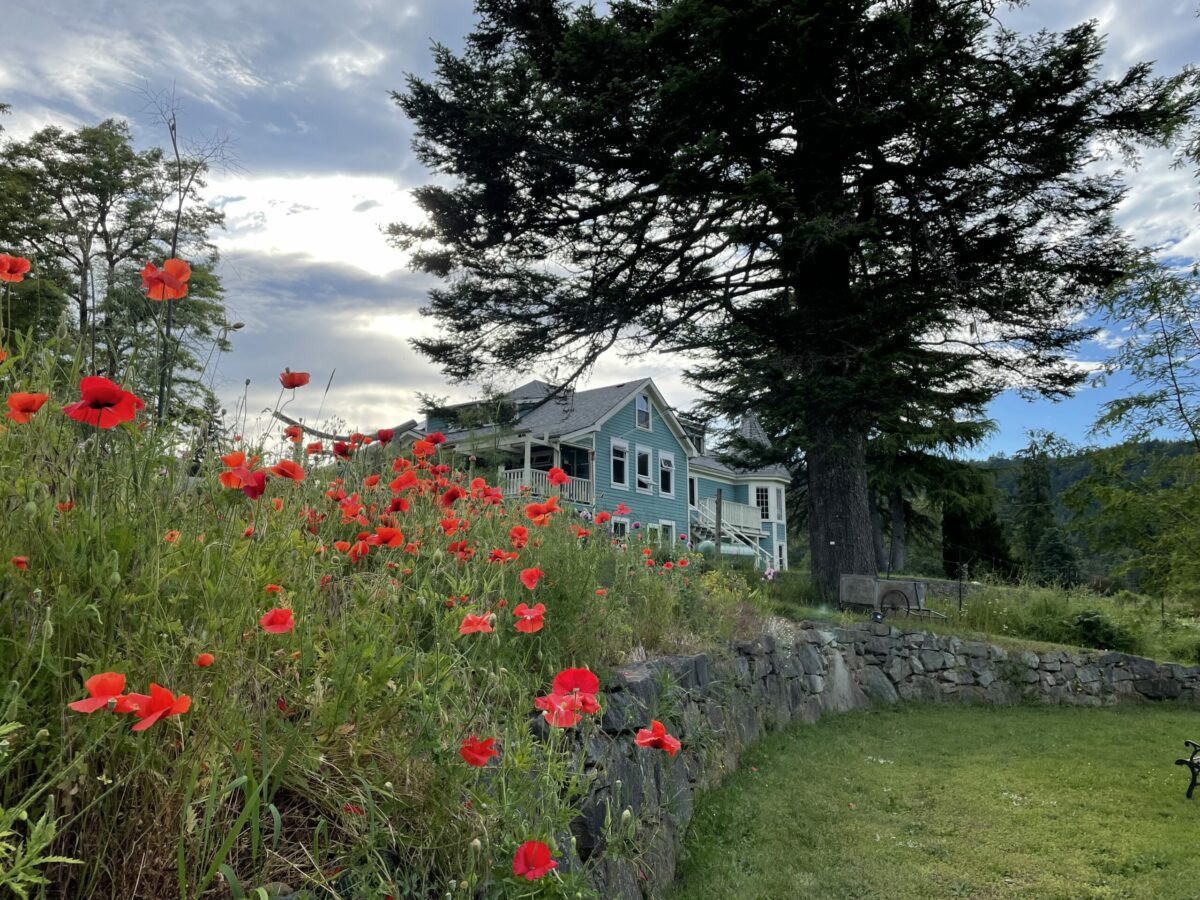 Program House in the Summer - ready to host our getaway guests at our weekend Yoga & Wellness Weekend Retreats