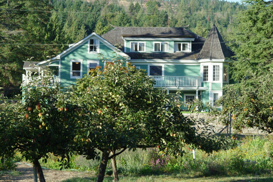 Program House from the orchard