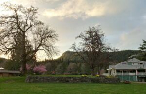 Spring At The Salt Spring Centre Of Yoga