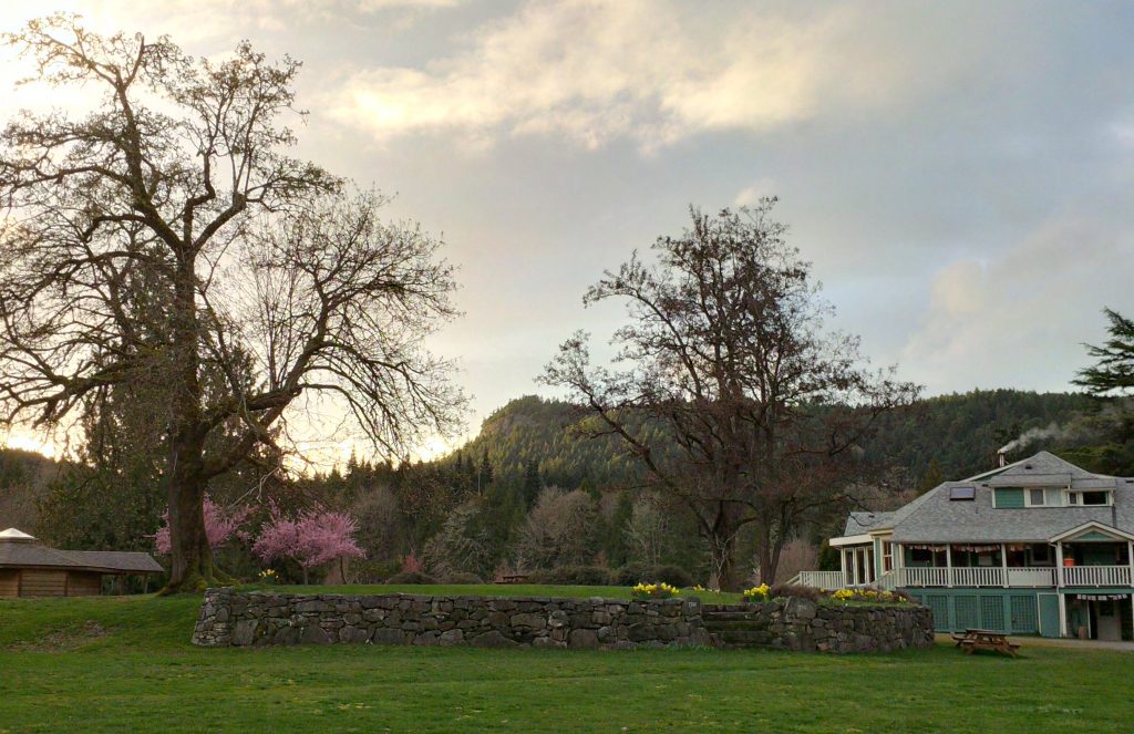 Spring at the Salt Spring Centre of Yoga