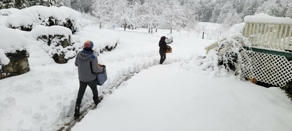 Two volunteers walking through the deep snow with loads of firewood