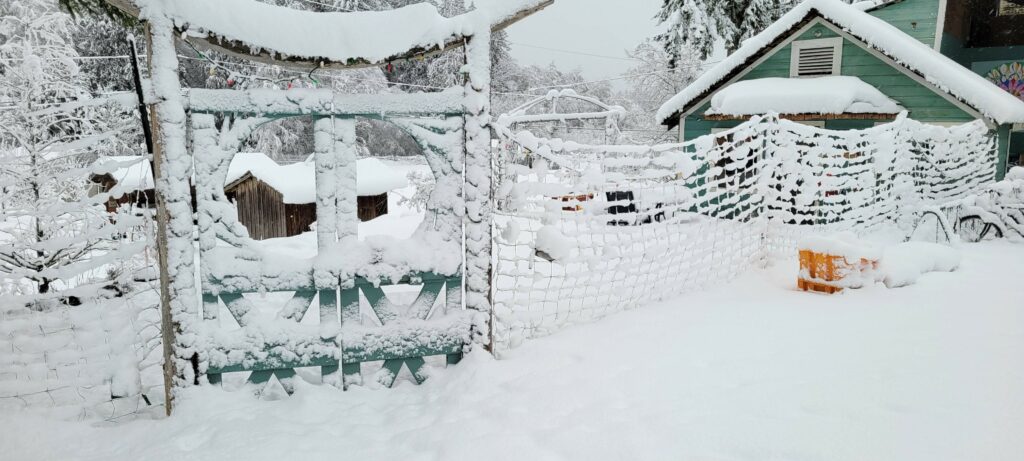 Snow covered fence and outbuilding