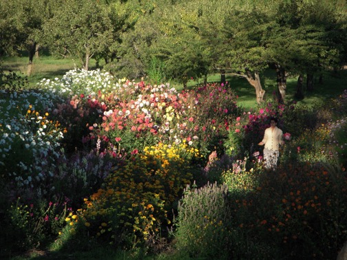 Keiko in the flower garden