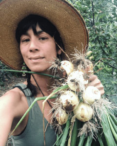 Keiko - harvesting onions