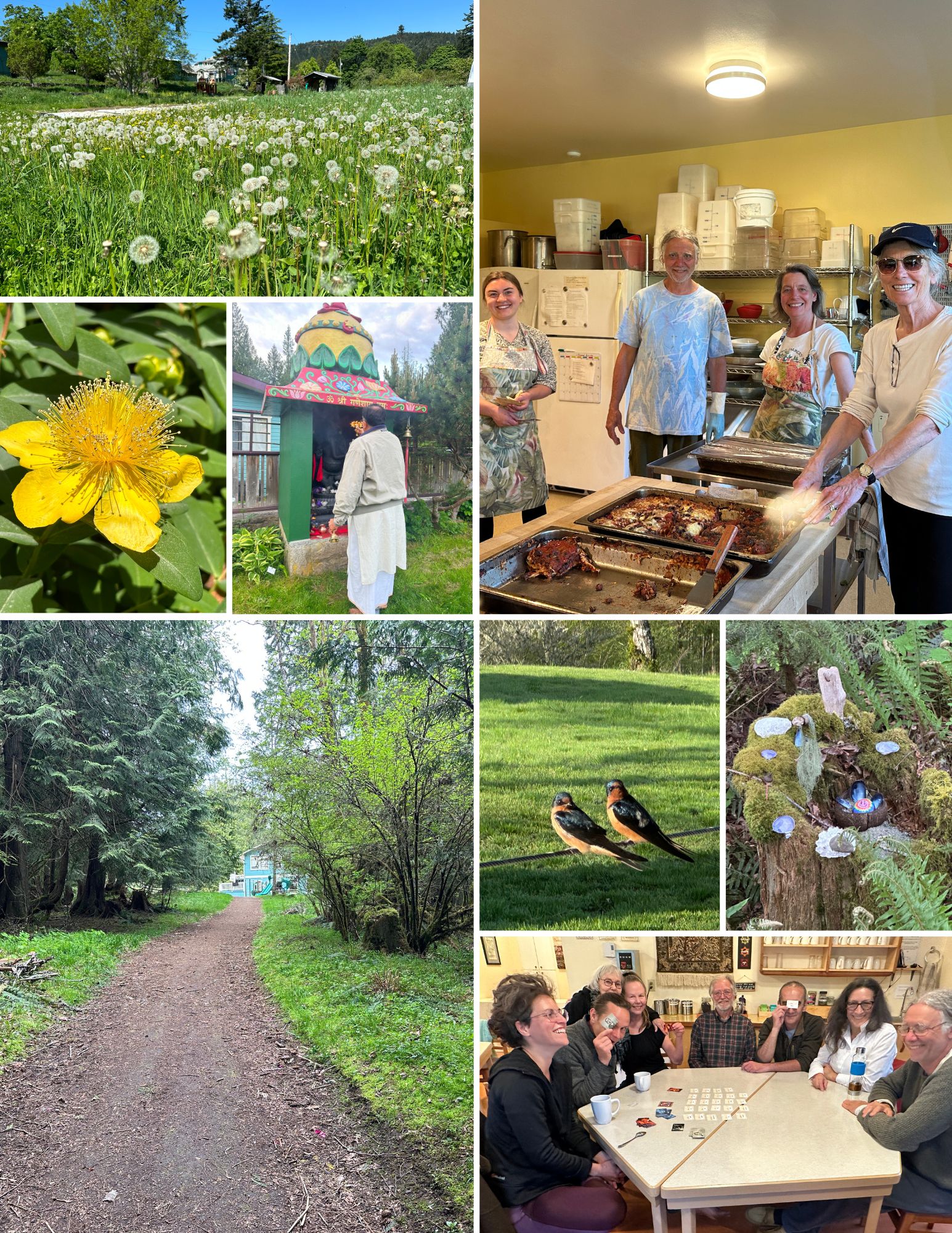 Centre Life in Photos - May 2023 - collage 2
