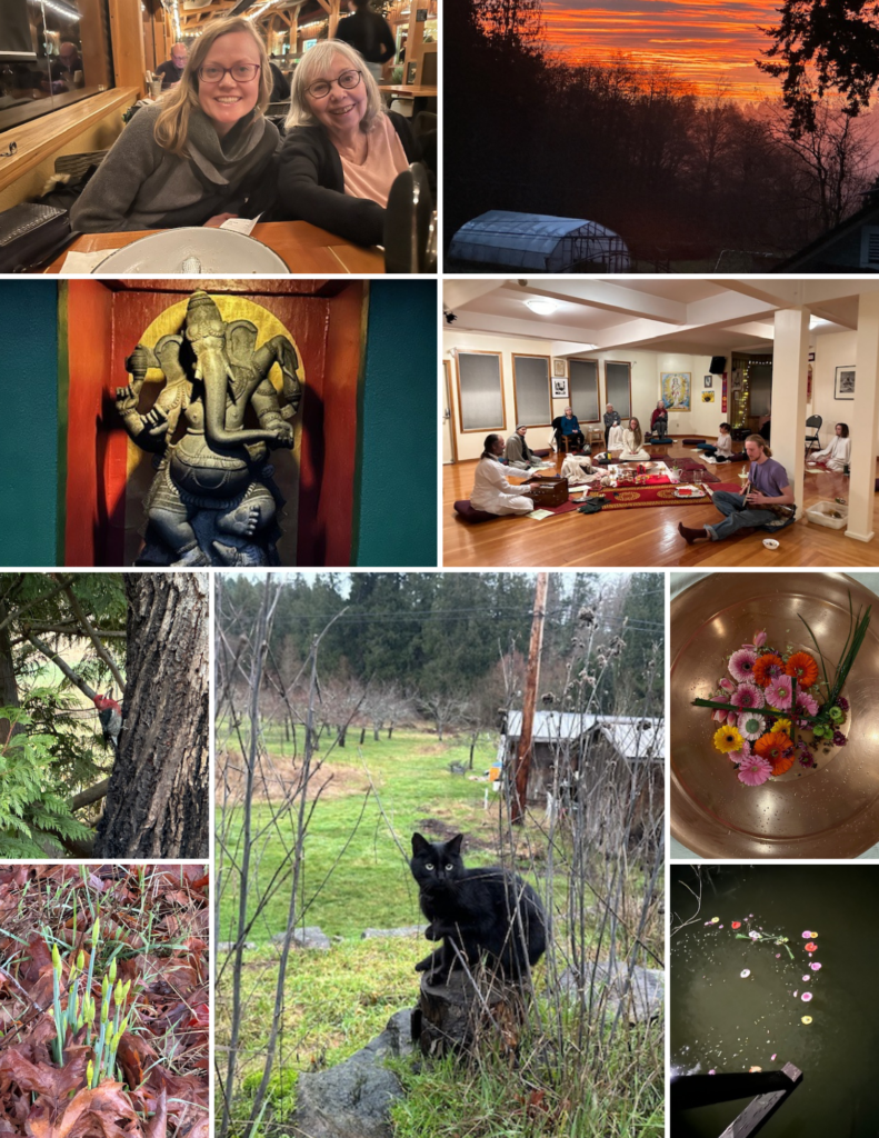 Life at the Salt Spring Centre of Yoga - January and February 2024 - Photo collage 2 