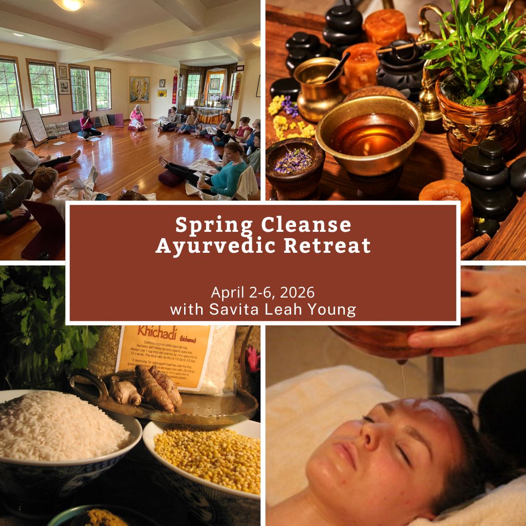 What if 5 Days Rest Could Reset Your body for the entire Year?